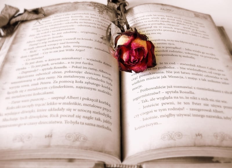 Historical Fiction Book